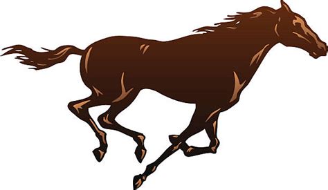 810 Brown Horse Running Stock Illustrations Royalty Free Vector