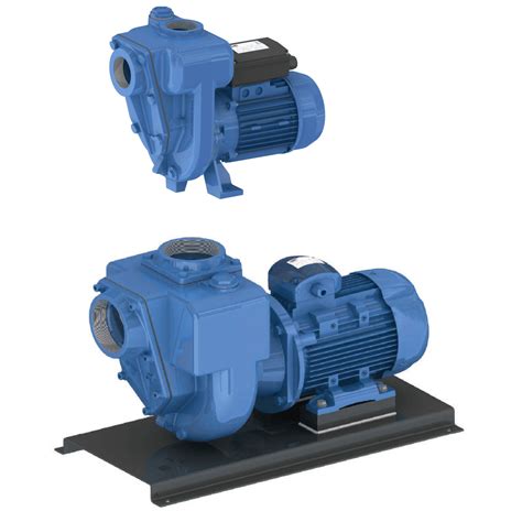 Gmp Centrifugal Self Priming Pumps Pumps From Uk Wrobinson