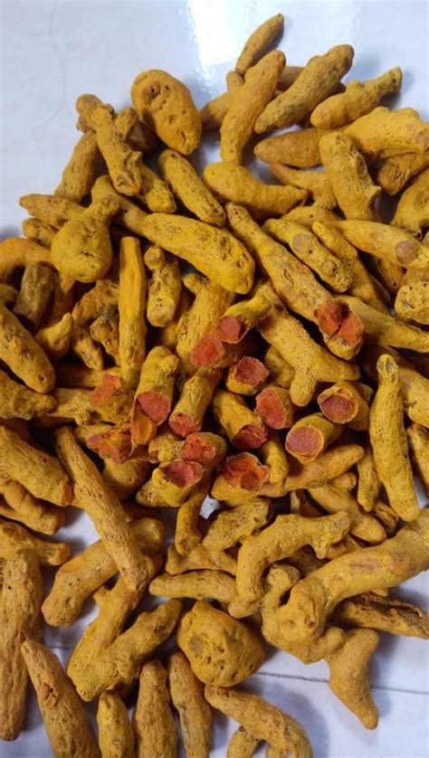 Salem Turmeric Fingers For Food At Rs Kg In Ahmedabad Id