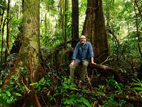 Rainforest Trust Buys Daintree Rainforest Blocks Cassowaryrecoveryteam