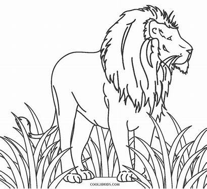 Lion Coloring Pages Printable