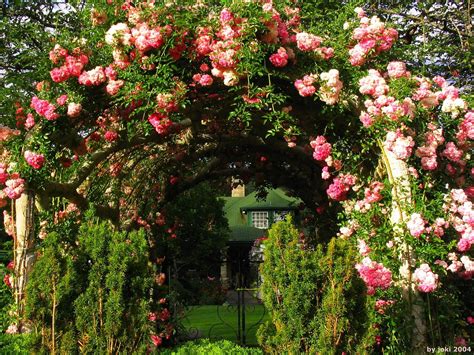 Hermoso Jardin De Flores Y Rosas