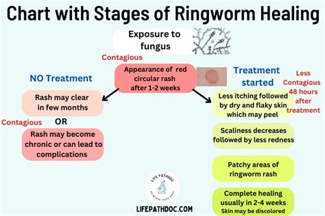 the healing stages of ringworm with pictures