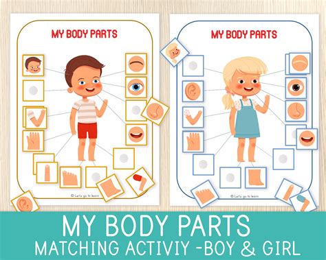 Body Parts Matching Activity Human Body Toddler And Etsy Australia
