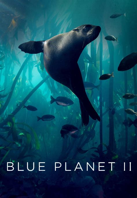 Blue Planet Ii 2017