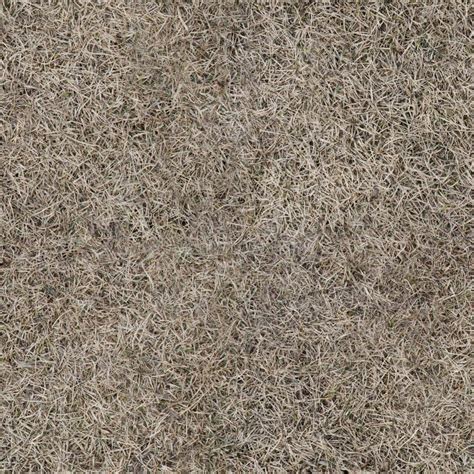 Dry Grass Seamless Texture Stock Photo Image Of Gray 69949486