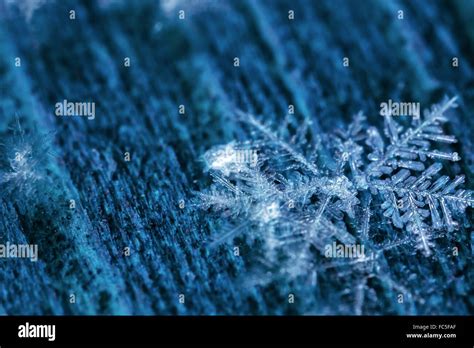 Melting Snowflakes In A Beam Of Light Stock Photo Alamy