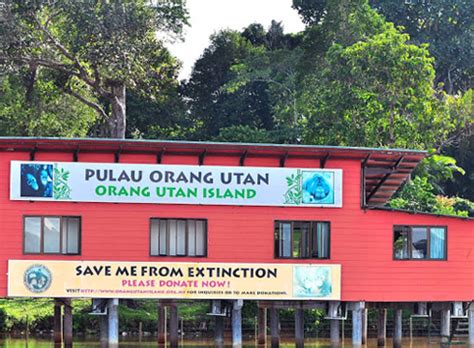 The bukit merah orangutan island, located inside the bukit merah lake town is approximately 70 km from bukit merah orangutan island. Welcome to Zarika • Coach Hire • Van Hire • Limousine Hire ...