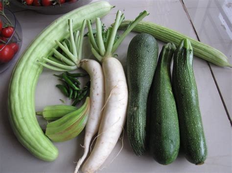We did not find results for: Growing Zucchini (Summer Squash) in Containers ...