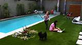 Pictures of Small Backyard Pool Landscaping