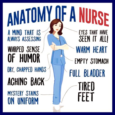 Anatomy of a Nurse | Nurse inspiration, Nurse jokes, Nurse