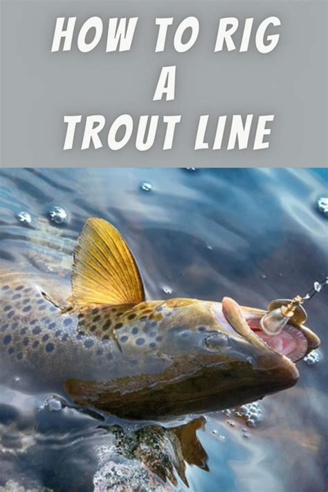 Beyond the pure test strength of a fishing line, there are several other important factors to consider when fishing for trout. Trout Rig And Line Setup: A Simple How-To-Guide - Fishing ...
