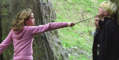 Hey, all you harry potter fans out there who want to know what your hogwarts house is, this is the quiz for you! Harry Potter Fan?