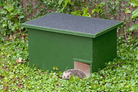 Six Of The Best Hedgehog Houses In 2022 2022