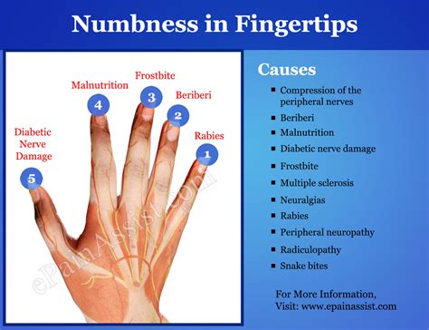 What Can Cause Numbness In Fingertips