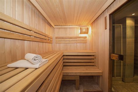 The Different Types Of Sauna And Their Respective Advantages Design Swan