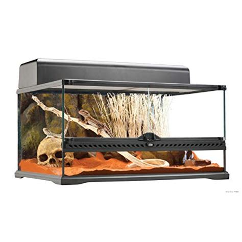 Best Snake Terrarium Review 2021 What Do I Need For The Snake