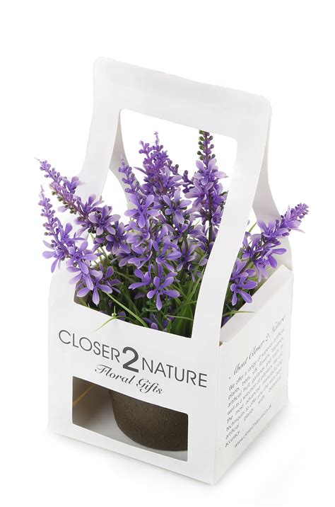 These plant delivery services are perfect for sending gifts, including the sill, urbanstems, and more. Artificial 18cm Bellflower Plant with Gift Box | Artplants