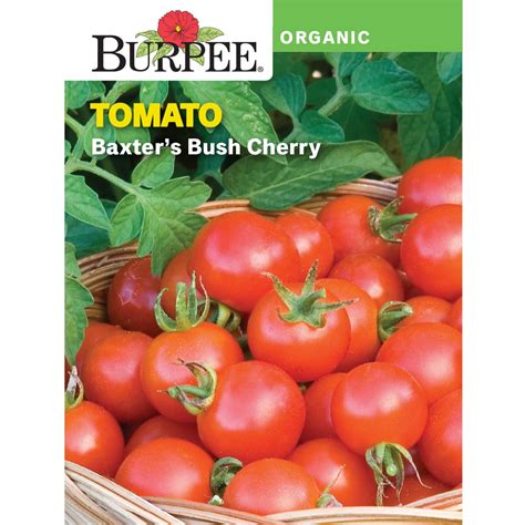 Burpee Organic Baxters Bush Cherry Tomato Vegetable Seed 1 Pack