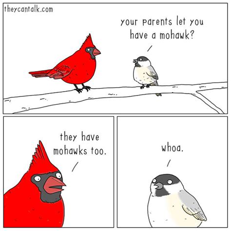 I Show What Birds Would Say If They Could Talk 26 Pics Laptrinhx