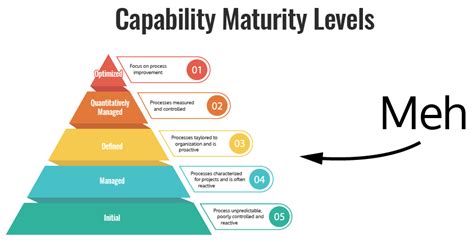 Capability Maturity Model Example