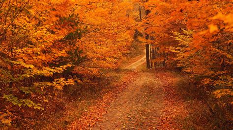 Download Autumn Image Wallpaper Photos By Ryantaylor Wallpaper