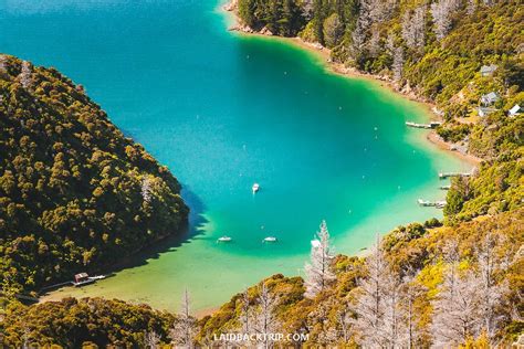 Hiking Guide To Queen Charlotte Track — Laidback Trip