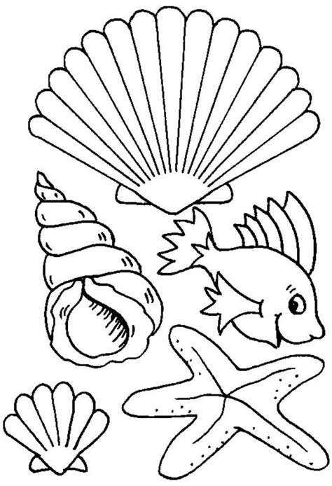 Https://wstravely.com/coloring Page/sea Shells Coloring Pages