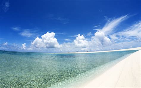 Wallpaper Blue Sky And White Clouds Beach 1920x1200 Hd Picture Image