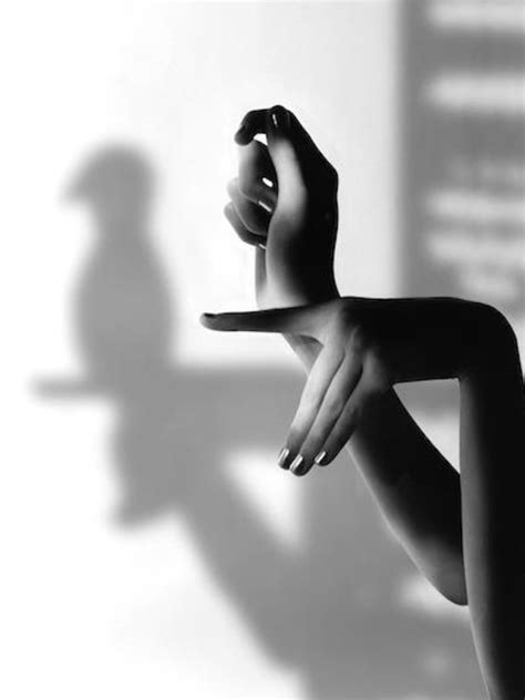 Sophie Delaporte Shadow Photography Hand Shadows Shadow Art