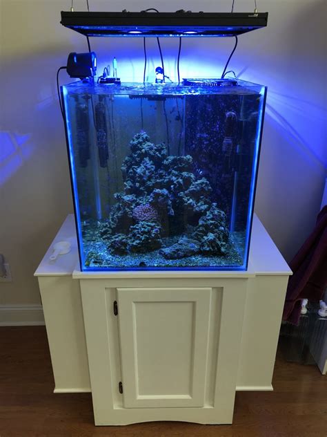 60 Gallon Cube Reef System For Sale Reef2reef Saltwater And Reef