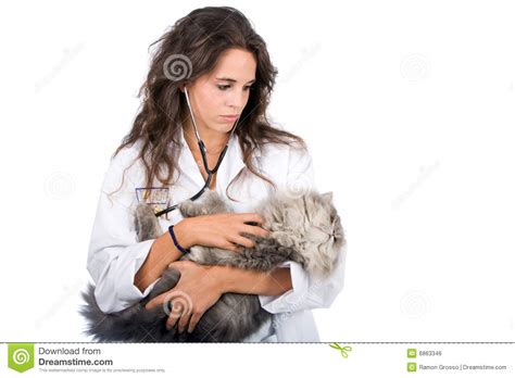 Our veterinarians and staff are committed to promoting responsible pet ownership and preventive health care with a. Pet doctor stock photo. Image of people, surgeon, medicine ...