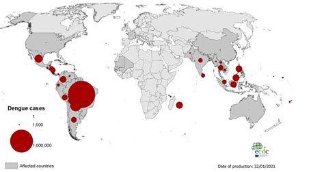 Geographical Distribution Of Dengue Cases Reported Worldwide 2020