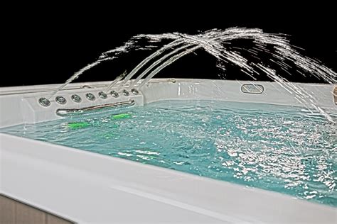 Executive Trainer Ex Swim Spas Our Products Jc Pools And Spas