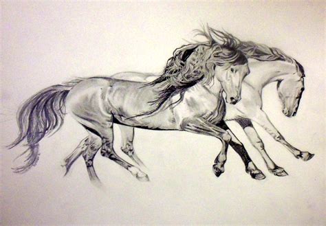 Running Horses Drawing At Getdrawings Free Download