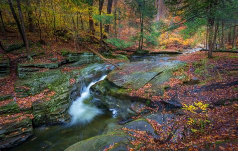 Wallpaper Autumn Forest River Waterfall Pa Pennsylvania Ricketts