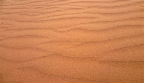 Desert Floor Texture