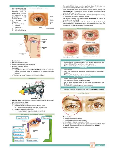 Solution Anatomy Notes On Eyelids Lacrimal Apparatus Orbit And Its