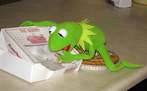 Image Result For Kermit Doing Drugs Big Boi Kermit The Frog Jim