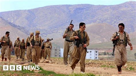 Iran Forces Kill Kurdish Rebels On Iraq Border Bbc News