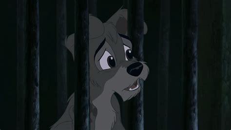 Scamp From Lady And The Tramp 2