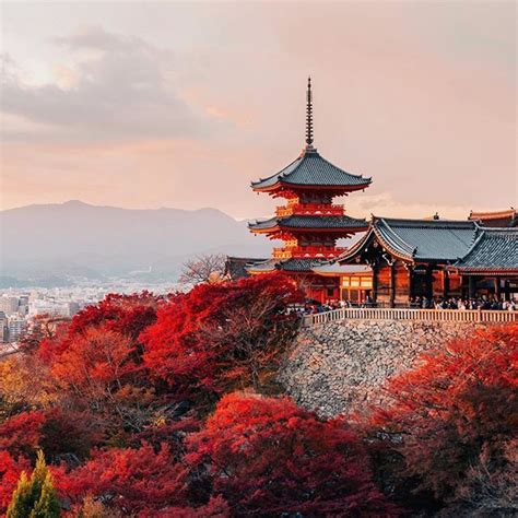 紅葉狩 — Momijigari The Traditional Viewing Of Autumn Leaves 🍁 Completely