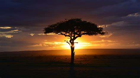Download Wallpaper 3840x2160 Tree Sunset Landscape Africa 4k