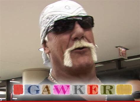 Hulk Hogan Refiles 100 Million Sex Tape Lawsuit Against Gawker