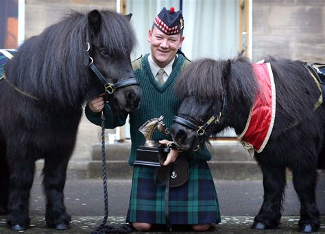 Regiments Retired Shetland Pony Mascot Dies Express And Star