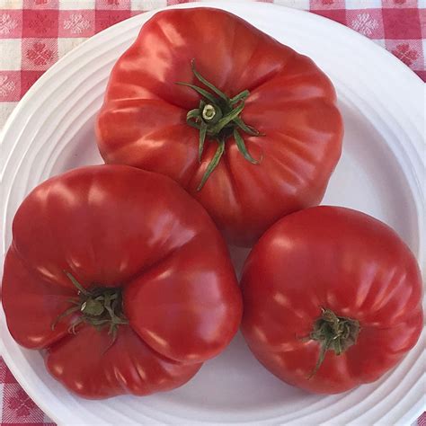 Aussie Heirloom Tomato Seeds
