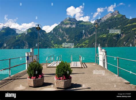 Switzerland Canton Schwyz Lucerne Lake Sisikon Landscape Stock
