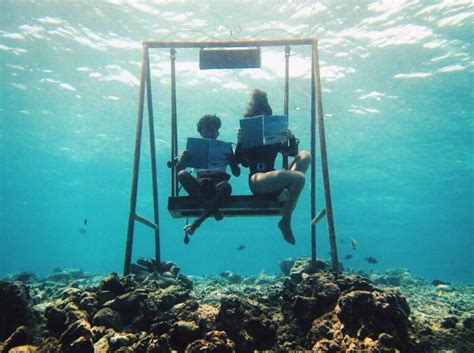 Coral Glass Enjoy Swings These Swings Make Maldives The Best
