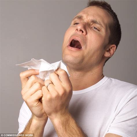 Sneezing Blamed For Two Million Car Crashes A Study Has Revealed Daily Mail Online