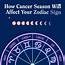 Horoscopes For Cancer Season 2019  Chani Nicholas